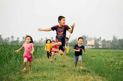 Miên man lá cỏ