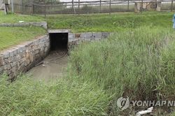 Để người trốn qua Triều Tiên, tướng hai sao Hàn Quốc mất chức