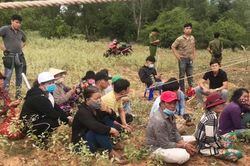 Triệt phá một sòng bạc trong rừng tràm