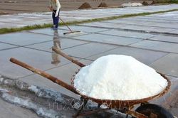 Hướng đi mới cho nghề muối