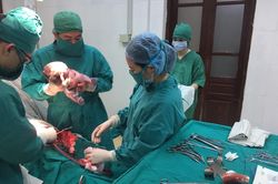 Thai nhi sa dây rốn: Nữ hộ sinh quỳ gối lấy tay giữ 25 phút