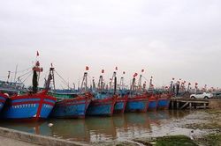 Thanh Hóa sẵn sàng ứng phó bão số 2