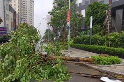 Tâm bão số 2 đang áp sát Ninh Bình - Nghệ An