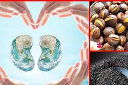 6 loại thực phẩm mà thận 'thích mê', càng ăn càng bổ, người muốn thận khỏe không nên bỏ qua
