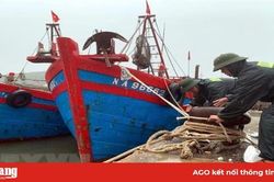 Bão số 2 suy yếu thành áp thấp nhiệt đới, đi vào Ninh Bình, Thanh Hóa
