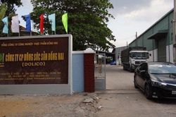 Doanh nghiệp chăn nuôi, sản xuất thịt lợn lãi đậm