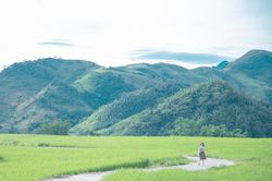 Đi qua mùa hạ tại rẻo cao Mộc Châu