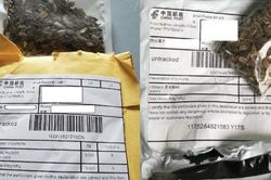 Điều gì đằng sau những gói hạt giống bí ẩn gửi tới Mỹ từ Trung Quốc?