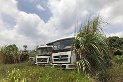 Vùng lõi đô thị vệ tinh Hòa Lạc: Nhiều đại dự án hoang hóa, khó khăn