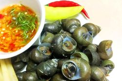 Thương con ốc suối