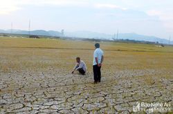 Nghệ An tiếp tục xác nhận thiên tai do nắng nóng tháng 7/2020