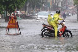 Dự báo thời tiết ngày 4/8: Cả nước có mưa rất to