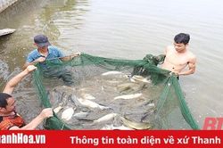 Huyện Hà Trung - dấu ấn một nhiệm kỳ