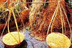 Nhớ lắm, mùi rơm…