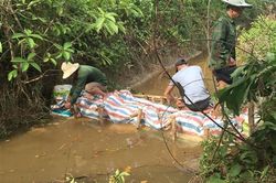 Đắp đập chặn nước thải từ Khu công nghiệp Nam Đông Hà và Bệnh viện Đa khoa tỉnh đổ ra sông Vĩnh Phước