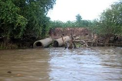 Sóc Trăng: Người dân bất an vì tình trạng sạt lở đất do tàu cao tốc tuyến Cần Thơ-Côn Đảo
