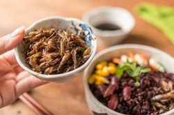 Được cha cho ăn đặc sản 'độc lạ', bé trai suýt mất mạng