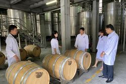 Sản xuất thử nghiệm rượu Whisky: Ưu tiên sử dụng nguyên liệu trong nước