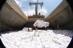 Doanh nghiệp xuất khẩu gạo đi EU có phải đăng ký hạn ngạch?