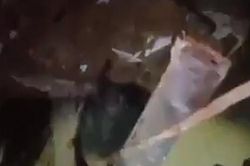 Video giải cứu bé gái Beirut mắc kẹt 24 giờ trong đống đổ nát