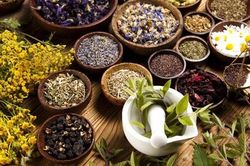 Chữa nấc bằng cây thuốc quanh nhà