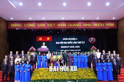 Đồng chí Thái Thị Bích Liên tái đắc cử Bí thư Quận ủy quận 4