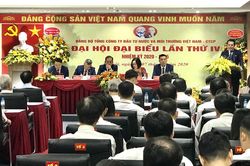 Xây dựng và phát triển Viwaseen trở thành thương hiệu mạnh