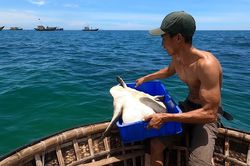 Thanh niên xứ Quảng trộm 18kg 'mồi nhậu' của cha thả xuống biển