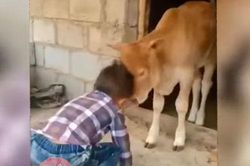 CLIP: Tổng hợp những tình huống hài hước nhất trên mạng xã hội TikTok