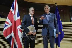 Tiến triển trong đàm phán thỏa thuận thương mại Anh - EU hậu Brexit