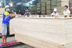 Giải pháp để ứng phó kiện chống lẩn tránh thuế sản phẩm ván dán
