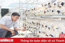 Huyện Như Thanh phát triển các sản phẩm OCOP