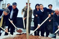 Chuyện chưa kể về cây bàng trong sân trại nữ Nhà tù Hỏa Lò