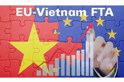 Việt Nam, EVFTA và câu chuyện kinh doanh giữa mùa dịch Covid-19