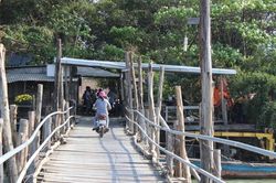 Nỗi lo cầu gỗ trong thành phố