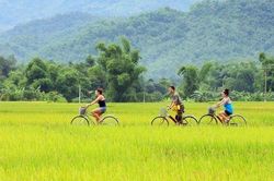Bài 4: Gắn di sản với đời sống cộng đồng