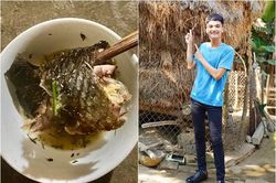 Mạc Văn Khoa chia sẻ hình ảnh miếng cá rô và tình cảm của bố làm dân mạng xúc động