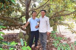 Nâng tầm sản phẩm OCOP