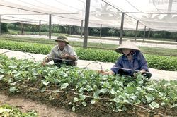 Để không còn 'nước mắt da cam'