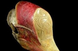 Khám phá bí ẩn độc dược Hạc Đỉnh Hồng trên phim truyền hình cổ trang Trung Quốc