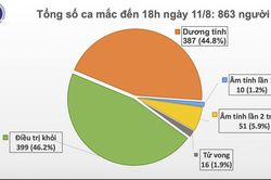 Bệnh nhân 832 tử vong, Việt Nam có 16 ca chết mắc COVID-19
