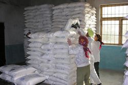 LHQ cho phép Hàn Quốc hỗ trợ cải thiện dinh dưỡng tại Triều Tiên