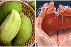 Công dụng 'vàng' của xoài xanh trong cuộc chiến bảo vệ gan