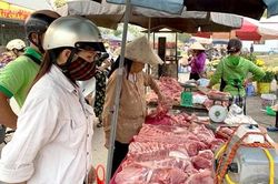 Giá lợn hơi đang có dấu hiệu giảm mạnh