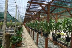 Bình Dương: Trên 9.000 lượt hộ nông dân được vay vốn phát triển sản xuất