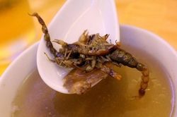 Món súp bọ cạp kinh dị của Trung Quốc khiến du khách 'khóc thét'