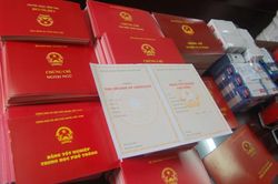 Chưa nộp bằng tốt nghiệp THPT, 566 sinh viên ở TP.HCM có thể bị đuổi học