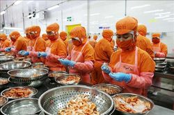 Rà soát các nguồn thu còn dư địa để bù hụt thu ngân sách
