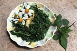 Đem loài cây mọc dại đầy đường ra làm món ăn, nhiều người tấm tắc khen ngon