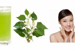 Loại rau tưởng là món ăn quen thuộc này lại chính là 'thần dược' trị mụn